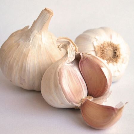 Aglio Rosso, Garlic Bulbs image number null